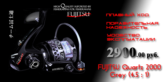 Fujitsu Quartz 2000